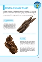 Everything about Incense