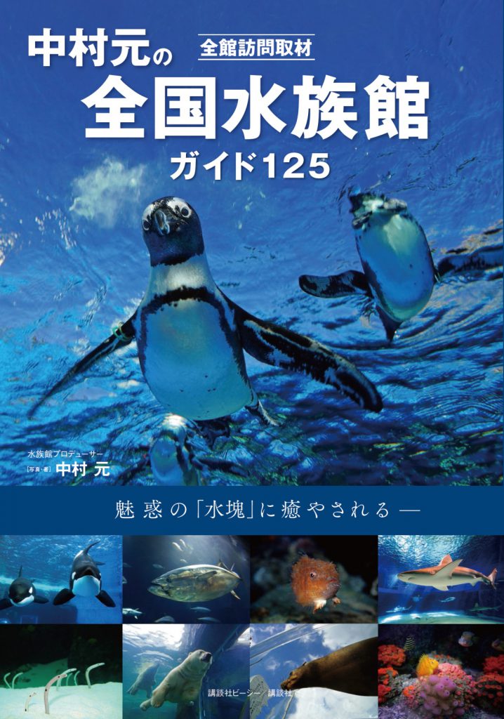 Magazine Cover